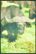 Kenya Africa 253061 Cape Buffalo A4 Limited Edition Watercolour Print