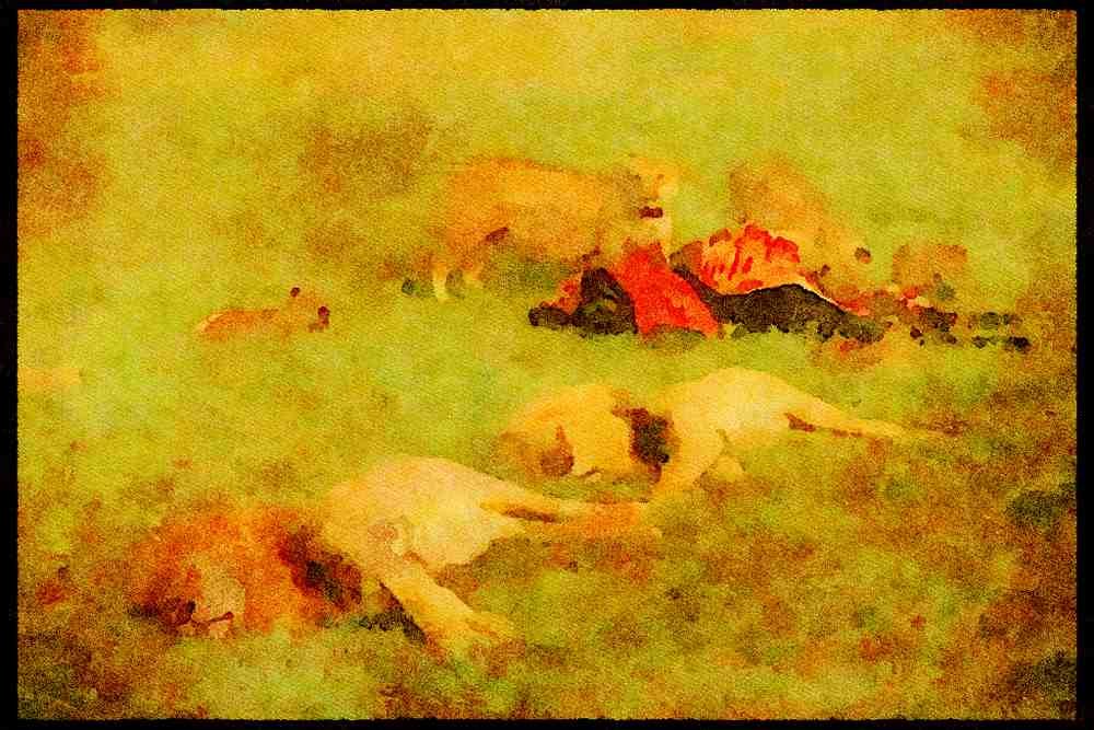 Kenya Africa 253069 Lions Sleeping After Eating A4 Limited Edition Watercolour Print