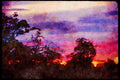 Kenya Africa 253070 Sunset Over Samburu Reserve A4 Limited Edition Watercolour Print