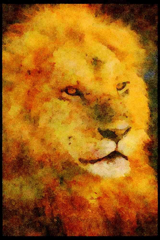 Kenya Africa 253076 Male African Lion A4 Limited Edition Watercolour Print