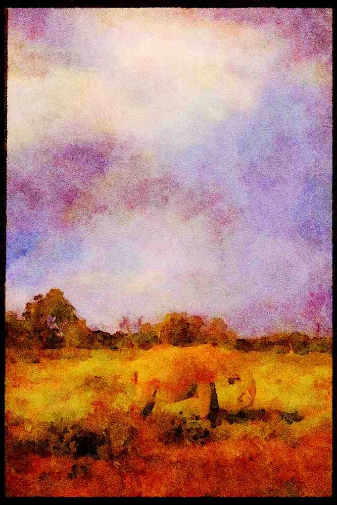 Kenya Africa 253078 Elephant And Rainbow A4 Limited Edition Watercolour Print