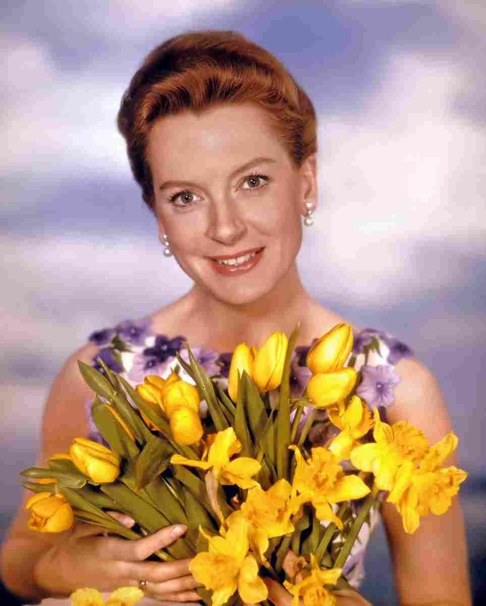Kerr Deborah 09 film star poster A4 Photo Print