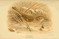 Keulemans John G 1885 Pipit Rock Winter A4 Photo Print