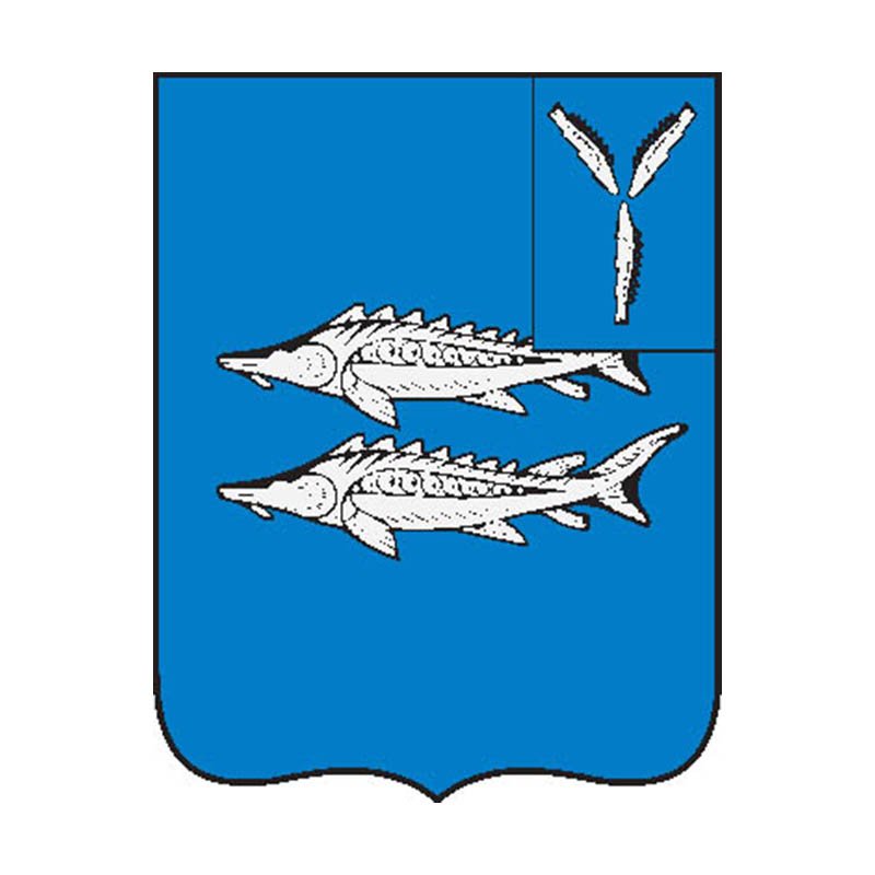 Khvalynsk City Coat Of Arms N3903 A4 Photo Print
