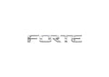 Kia Forte A4 Photo Print