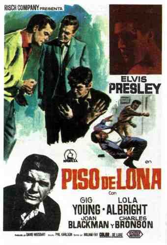  Kid Galahad 1962 02 film star poster A4 Photo Print
