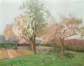 Kimon Loghi blooming cherry trees Art A4 Photo Print