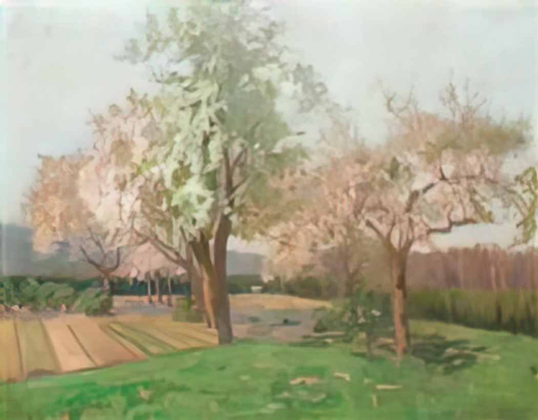 Kimon Loghi blooming cherry trees Art A4 Photo Print
