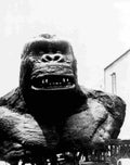 King Kong 13  film star poster A4 Photo Print