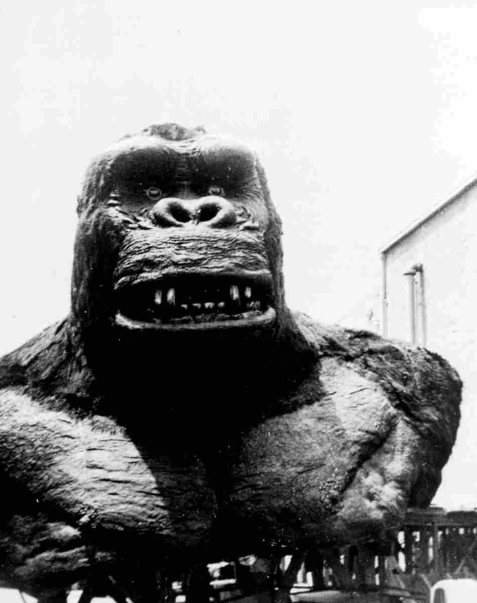 King Kong 13  film star poster A4 Photo Print