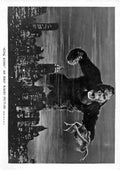 King Kong 24 Film A4 Photo Print