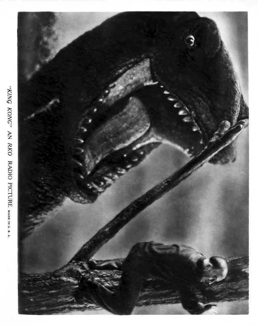 King Kong 25 Film A4 Photo Print