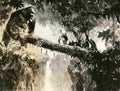 King Kong 28S  film star poster A4 Photo Print