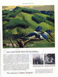 Kingfishers Forestry Weyershaeuser Vintage Retro Advert Ads A4 Photo Print