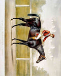 Kingston 2 Horse A4 Photo Print