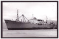 Kirribilli Built 1956 Steam ship A4 Photo Print