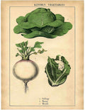 Kitchen Vegetables Cabbage Vintage Retro Advert Poster A4 Photo Print