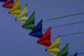 Kite Flying Kites A4 Photo Print