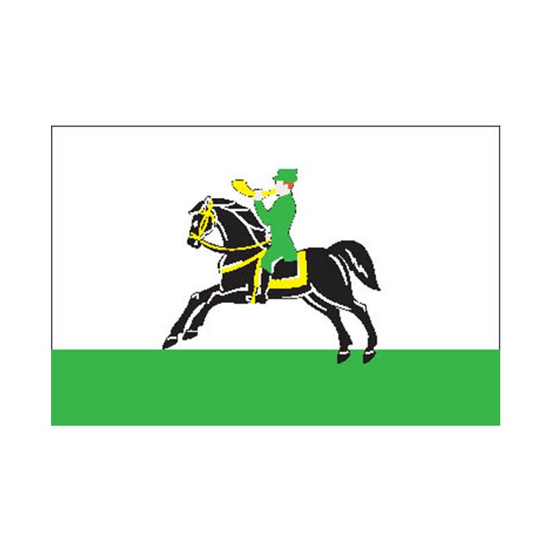 Klin City Flag N1501 A4 Photo Print
