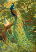 Knight 1874 1953 Monograph Pheasants 1918 Indian Peafowl A4 Photo Print