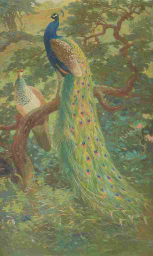 Knight CR Indian Peafowl A4 Photo Print