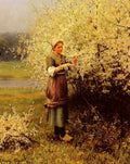 Knight Daniel Ridgeway Spring Blossoms A4 Photo Print