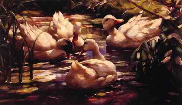 Koester Alexander Ducks In A Forest Pond A4 Photo Print