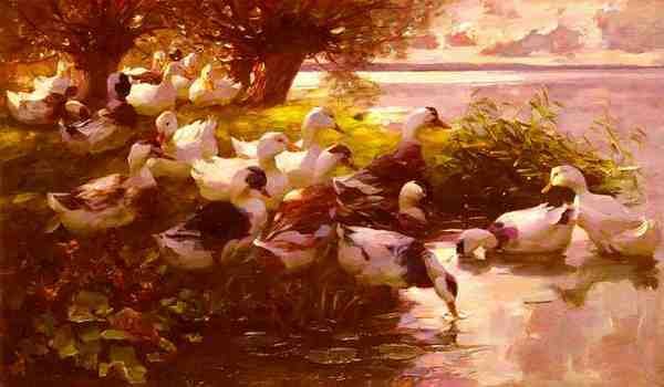Koester Alexander Max Ducks On A Lake A4 Photo Print