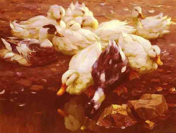 Koester Alexander Max Enten Am Teich A4 Photo Print