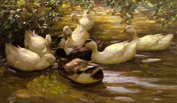 Koester Alexander Max Enten In Wasser Unter Birken A4 Photo Print