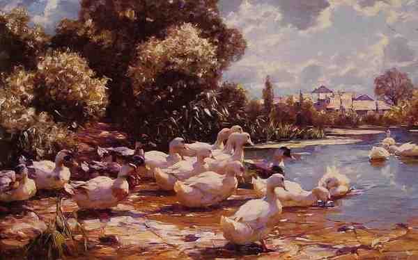 Koester Alexander Mid Day Swim A4 Photo Print
