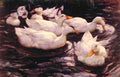 Koester Alexander Six Ducks In The Pond A4 Photo Print