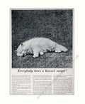 Koetsu Carpet Design Vintage Retro Advert Poster A4 Photo Print