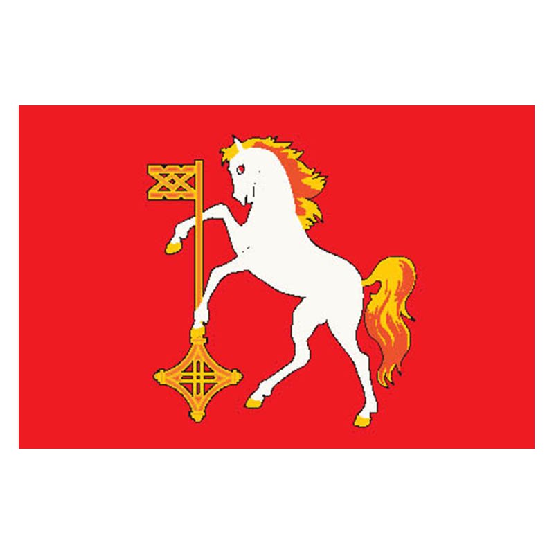 Kokhma City Flag N6228 A4 Photo Print