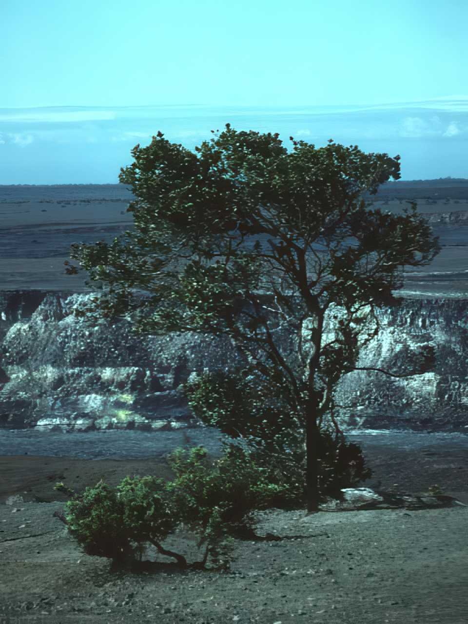 Kona Lava Cliff A4 Photo Print