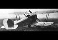 Kondor Dvi Biplane Fighter Prototype German Empire A4 Photo Print