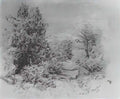 Konstantin Bogaevsky trees 1893 Art A4 Photo Print