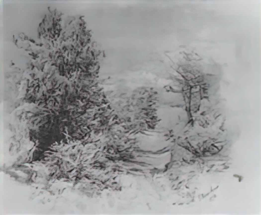 Konstantin Bogaevsky trees 1893 Art A4 Photo Print