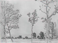 Konstantin Bogaevsky trees in baran eli 1906 Art A4 Photo Print UK