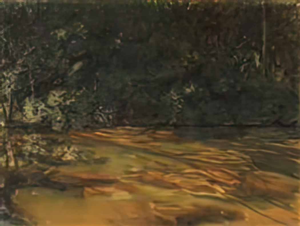 Konstantin Somov overgrown pond Art A4 Photo Print