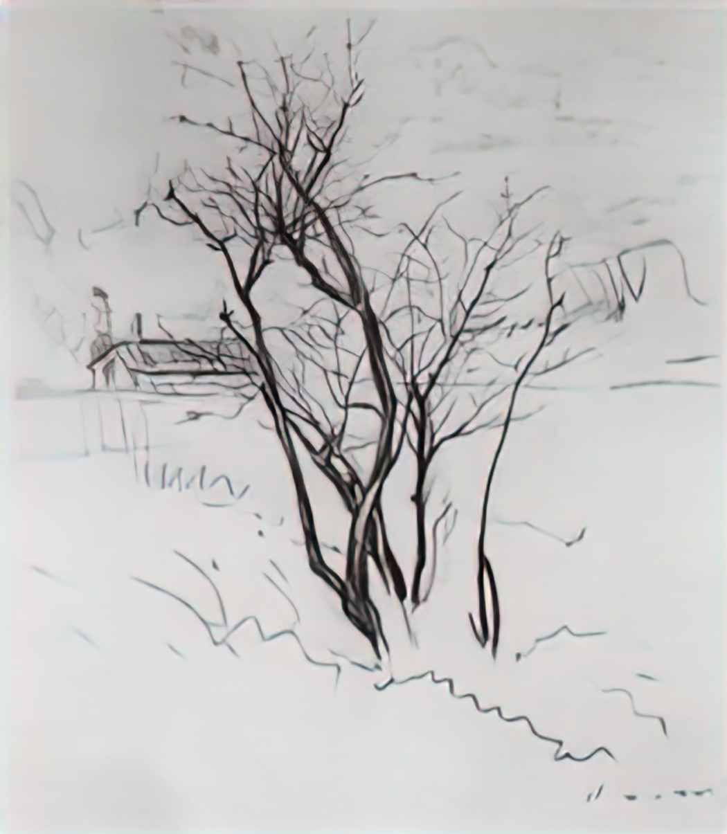 Konstantin Somov the tree in the field Art A4 Photo Print