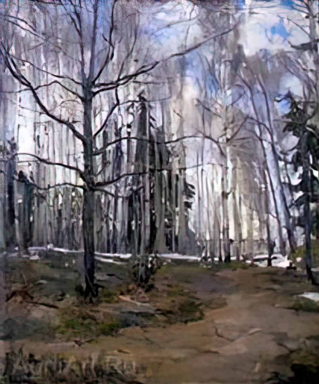 Konstantin Yuon birch forest Art A4 Photo Print