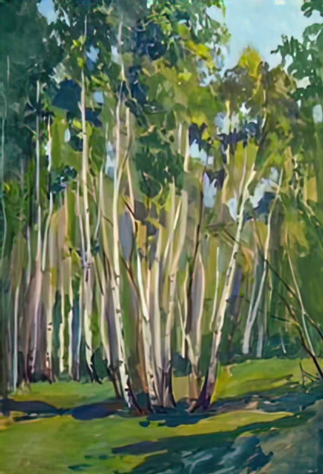 Konstantin Yuon birches at noon Art A4 Photo Print