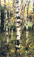 Konstantin Yuon birches petrovskoye 1899 Art A4 Photo Print