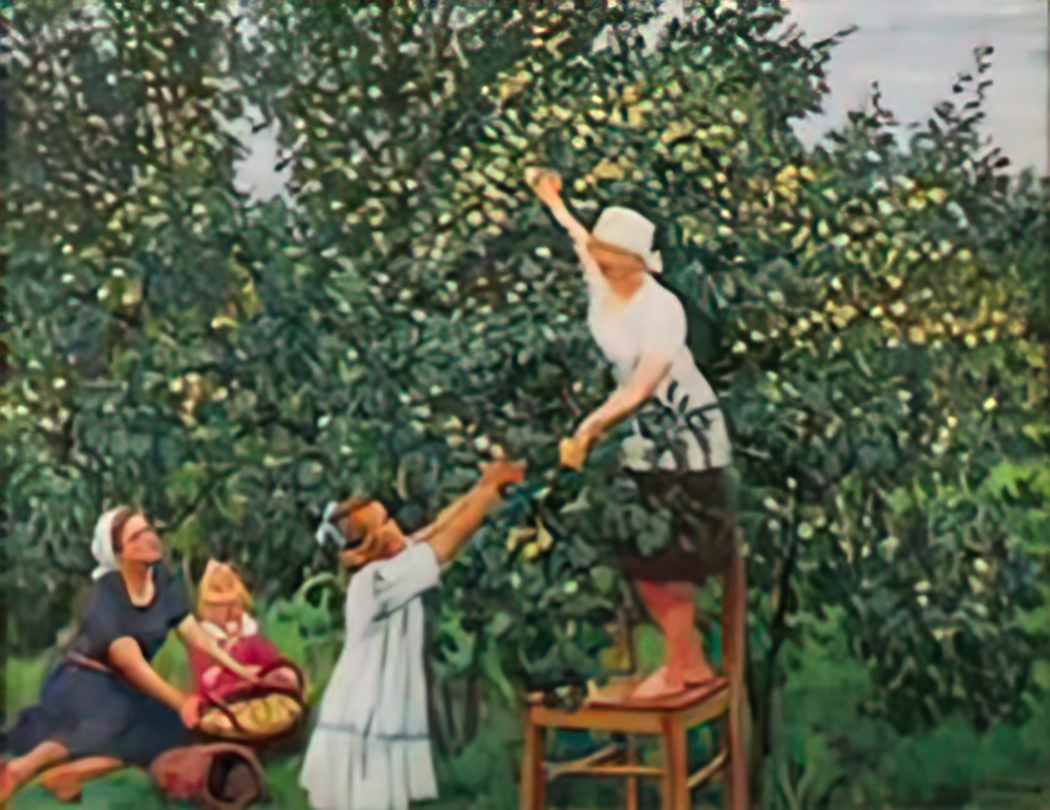 Konstantin Yuon picking apples 1928 Art A4 Photo Print