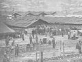 Koren War 1169Korea Military A4 Photo Print