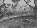 Koren War 1431Korea Military A4 Photo Print