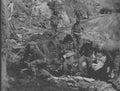 Koren War 1984Korea Military A4 Photo Print