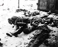 Koren War 2550Korea Military A4 Photo Print