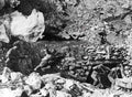 Koren War 2575Korea Military A4 Photo Print